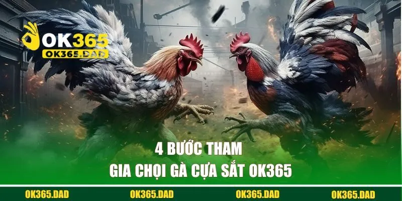 4 bước tham gia chọi gà cựa sắt OK365